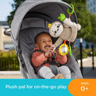 Fisher-Price FXC31 Slow Much Fun Stroller Sloth, Take-Along Baby Toy, Multicolour